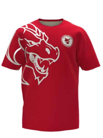 Valley Dragons Training Shirt