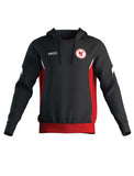 Carbon Valley Dragons Hoody