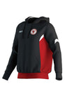 Carbon Valley Dragons Hoody